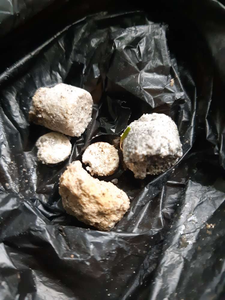 Giftköder-verdächtige Substanz/ Tabletten/ Brocken-Profilbild