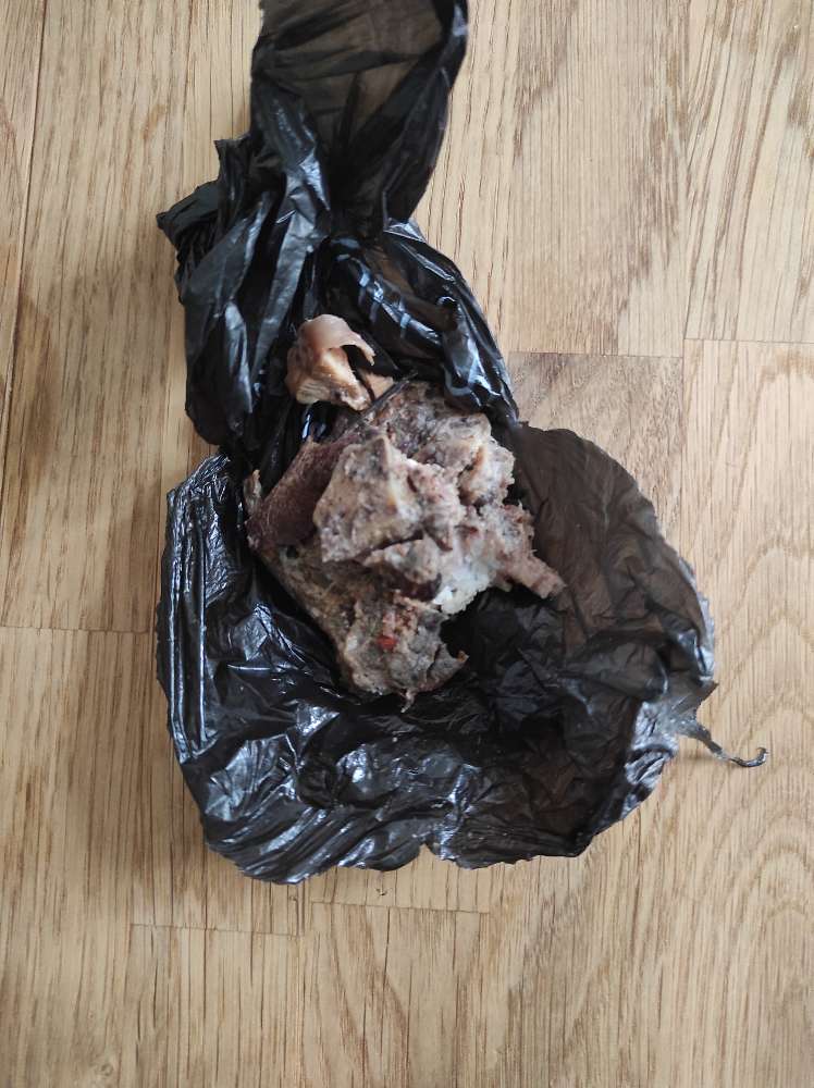 Giftköder-Mögliche Giftköder-Profilbild