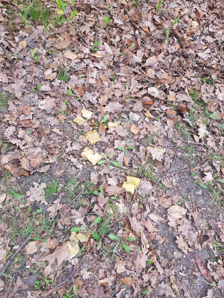 Giftköder-Essensreste mit Pulver bestreut-Profilbild