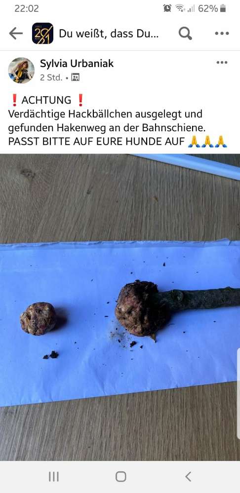 Giftköder-Verdächtige Fleischbällchen-Profilbild