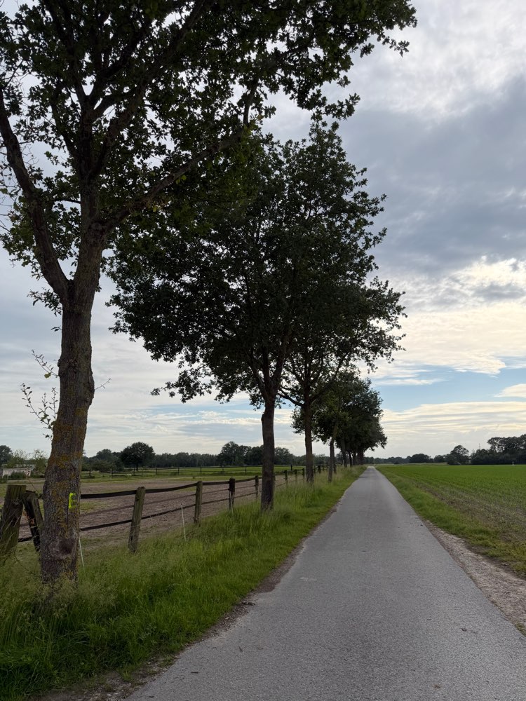 Giftköder-Eichen-Prozessionsspinner-Profilbild