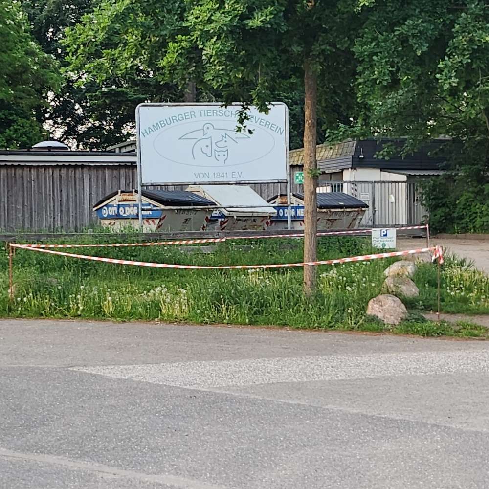Giftköder-Eichen-Prozessionsspinner-Profilbild