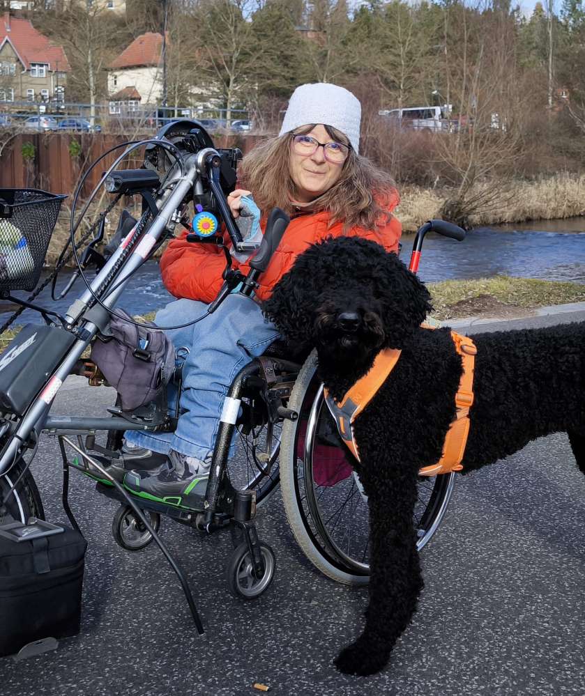 Hundetreffen-Treffen, Begegnungen, Training-Profilbild