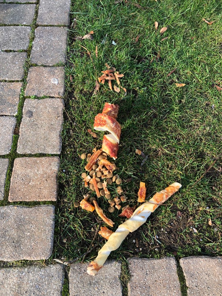 Giftköder-Ausgelegte Kauartikel und Trockenfutter-Profilbild