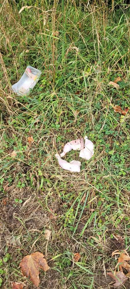 Giftköder-Evtl. Giftköder-Profilbild