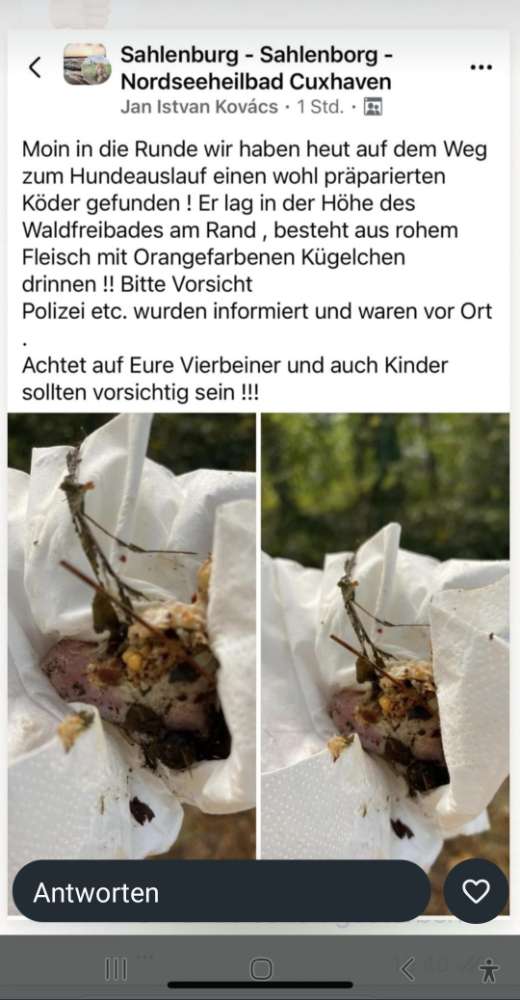 Giftköder-Giftköder-Profilbild