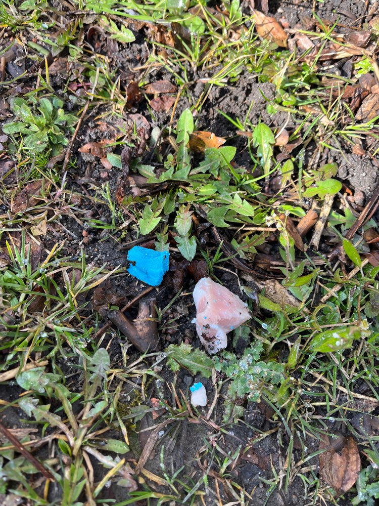 Giftköder-Giftköder im Hähnchenfleisch-Profilbild