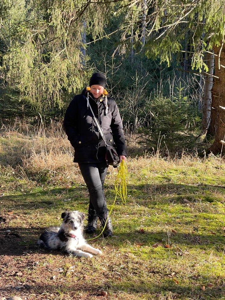 Hundetreffen-Gassirunden für Berufstätige-Profilbild