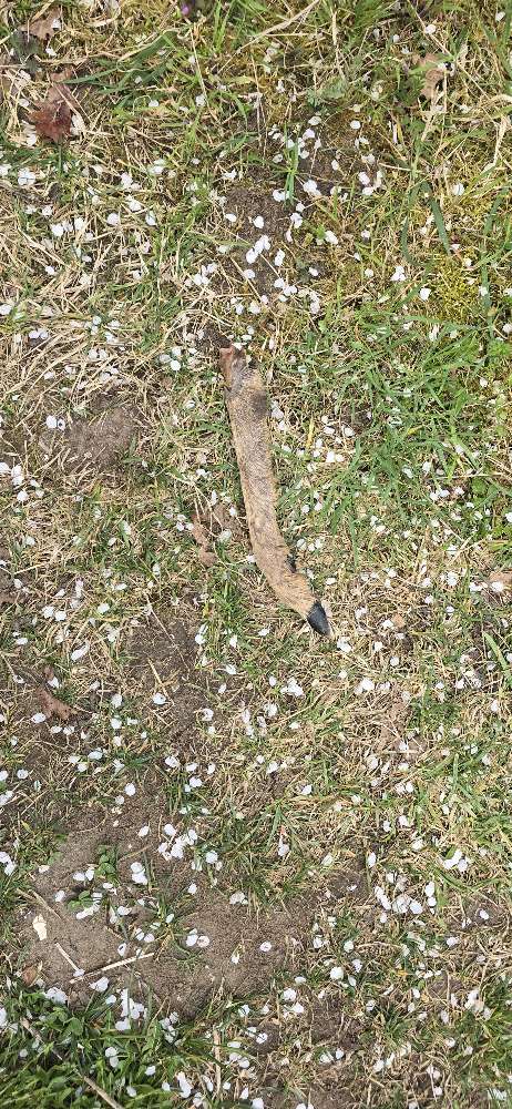 Giftköder-Rehbein-Profilbild