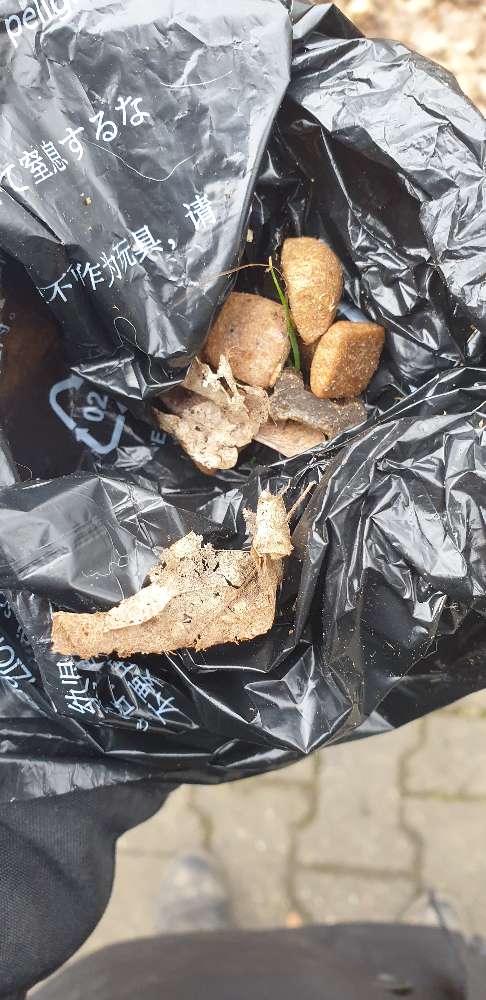 Giftköder-Ausgelegte Leckerlies-Profilbild
