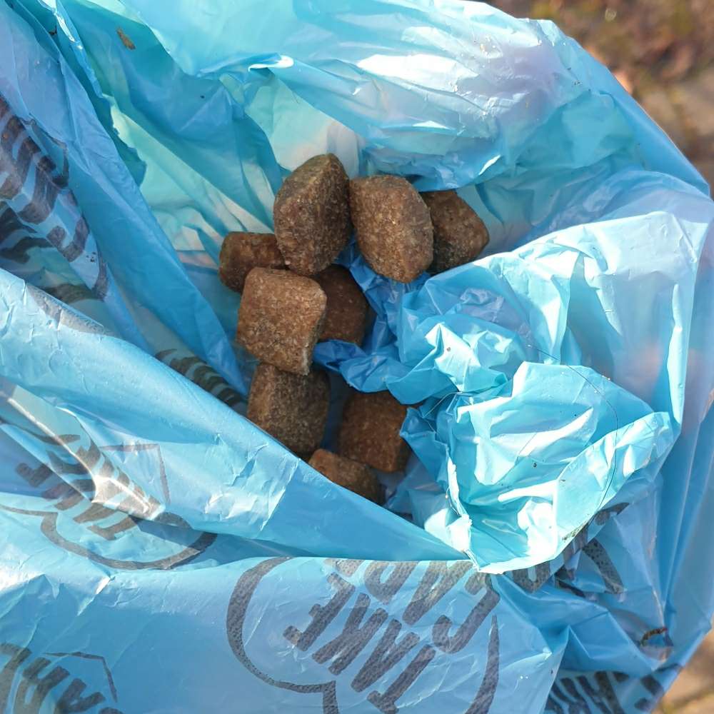 Giftköder-Ausgelegte Leckerlies-Profilbild