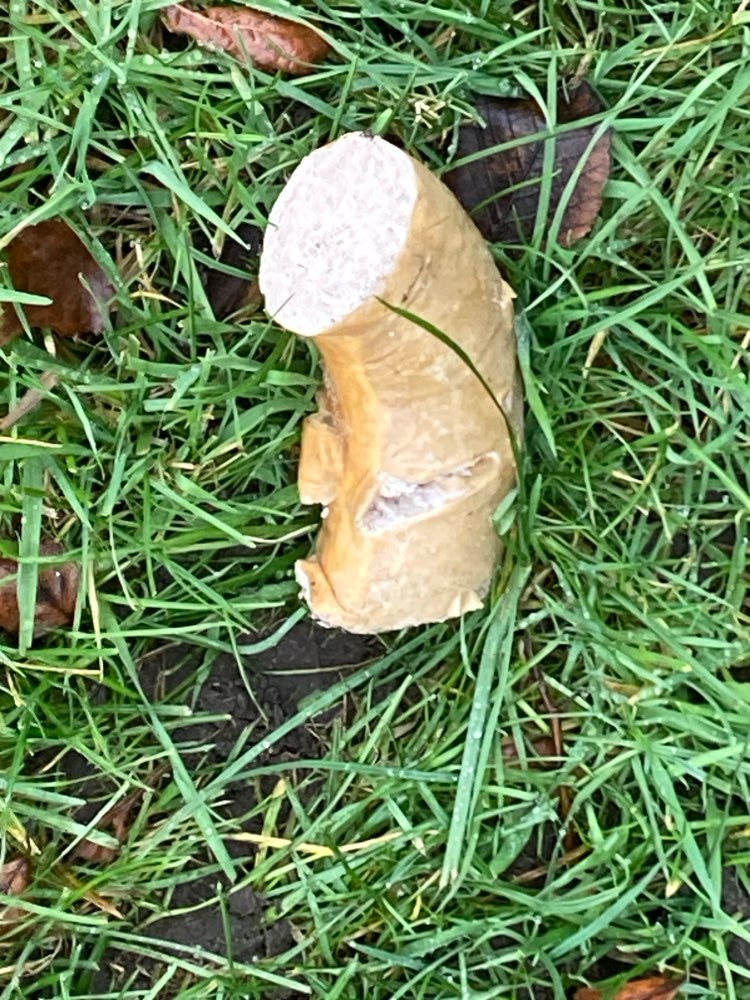 Giftköder-Mutmaßliche Giftköder-Profilbild