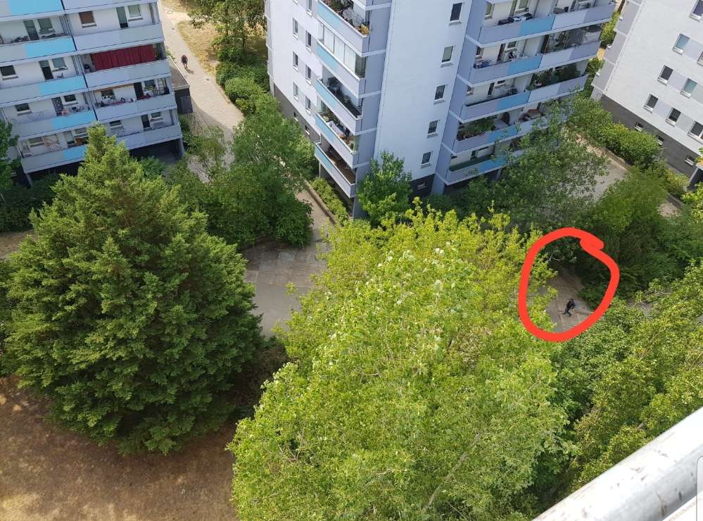 Giftköder-Ausgelegtes Gift, mögl. Rattengift-Profilbild