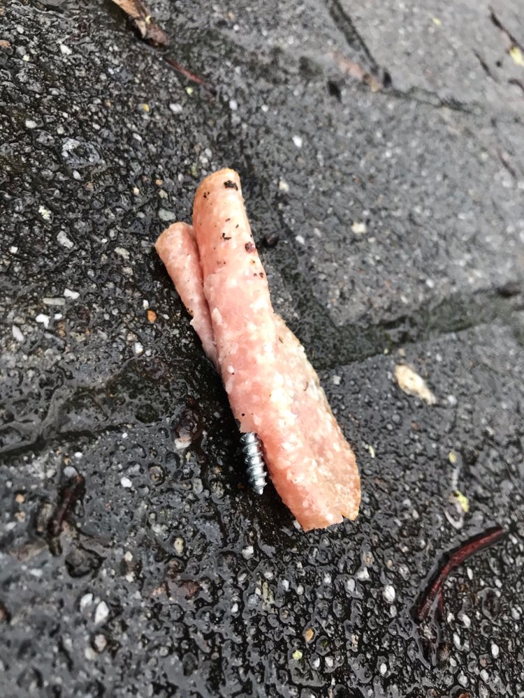 Giftköder-Salamie mit Schraube-Profilbild