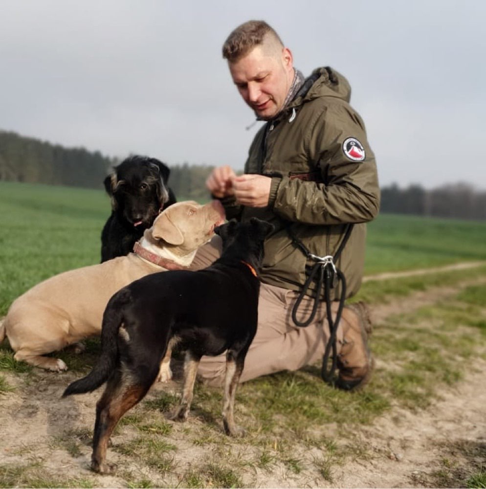 Hundetreffen-Gassi gehen mit Spiel und Spaß durch den Wald-Profilbild