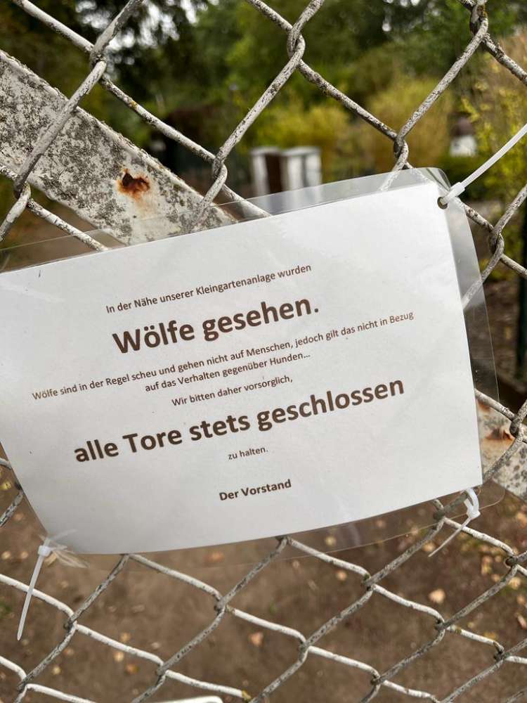 Giftköder-Wölfe-Profilbild