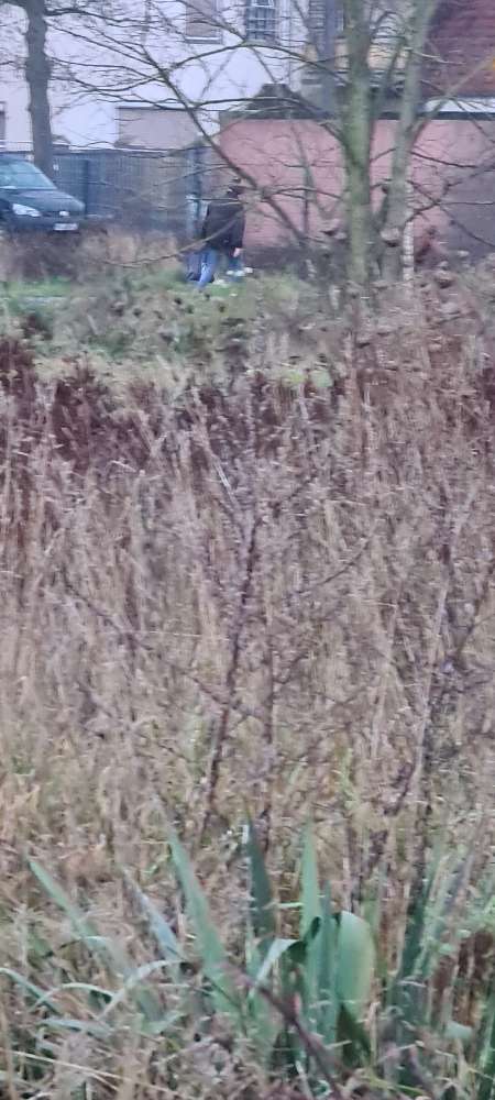 Giftköder-Frau auf Hundewiese legt vermeintlich Giftköder aus.-Profilbild