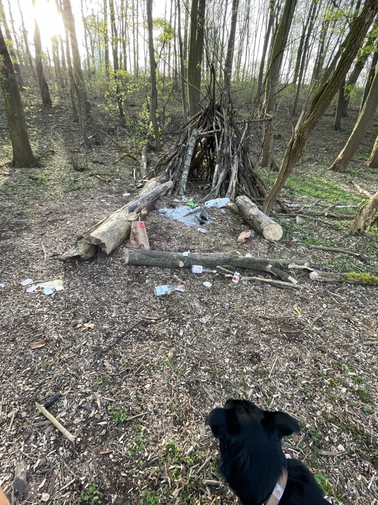 Giftköder-Grill Fleisch, vermutlich giftig!!-Profilbild