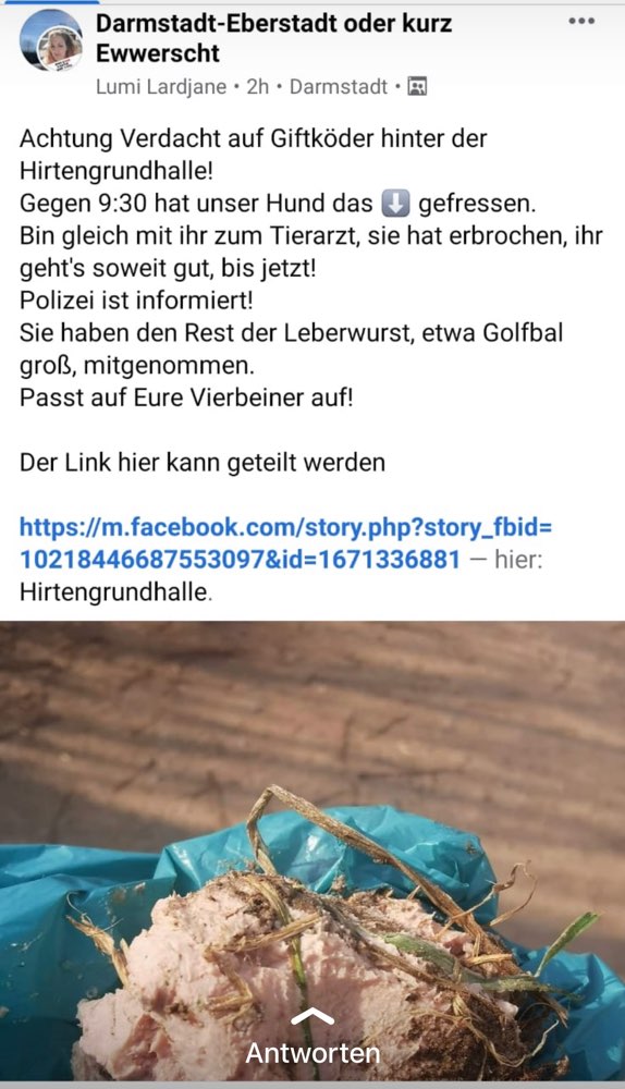 Giftköder-Giftköder-Profilbild