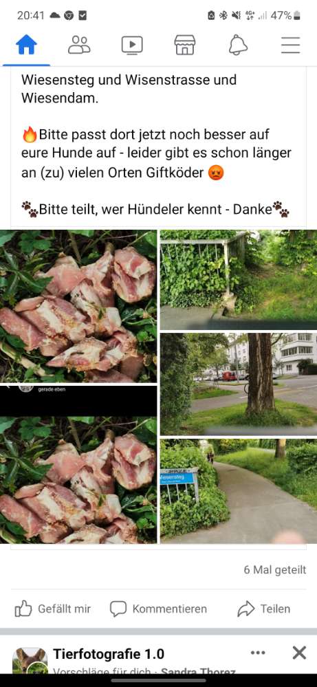 Giftköder-Giftköder-Profilbild