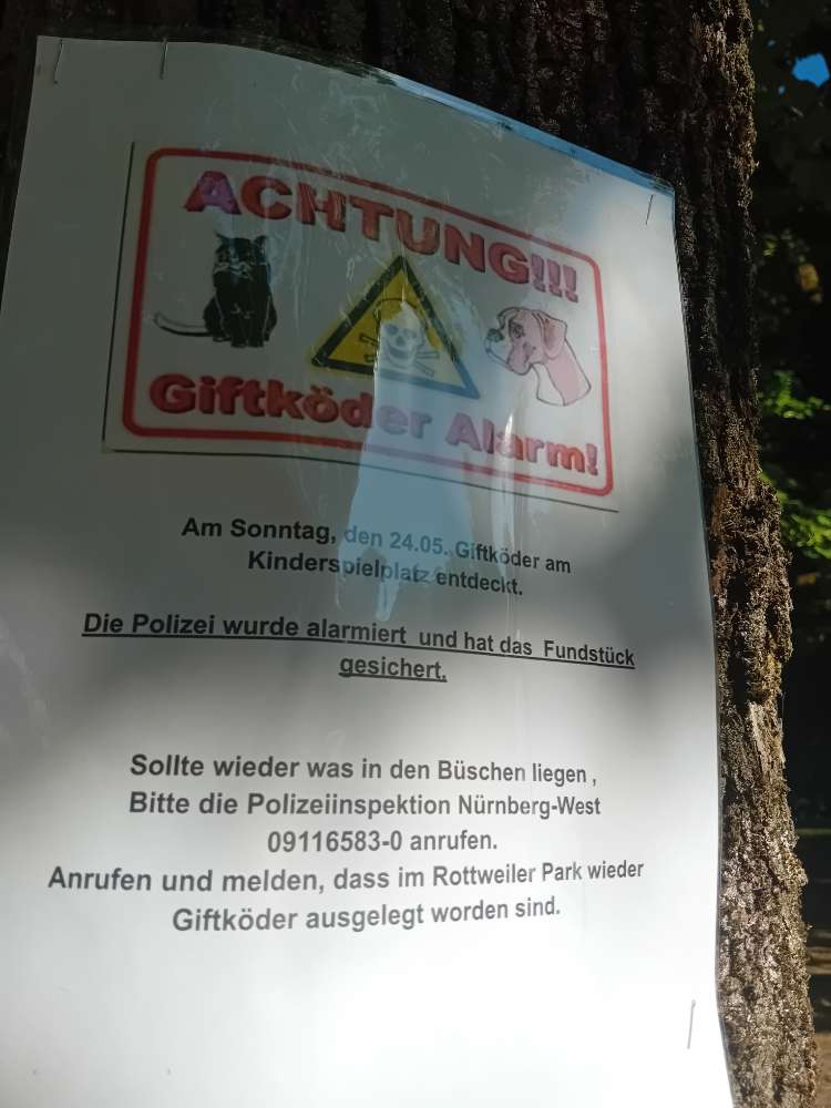 Giftköder-Giftköder im Bereich Hohe Marter-Profilbild