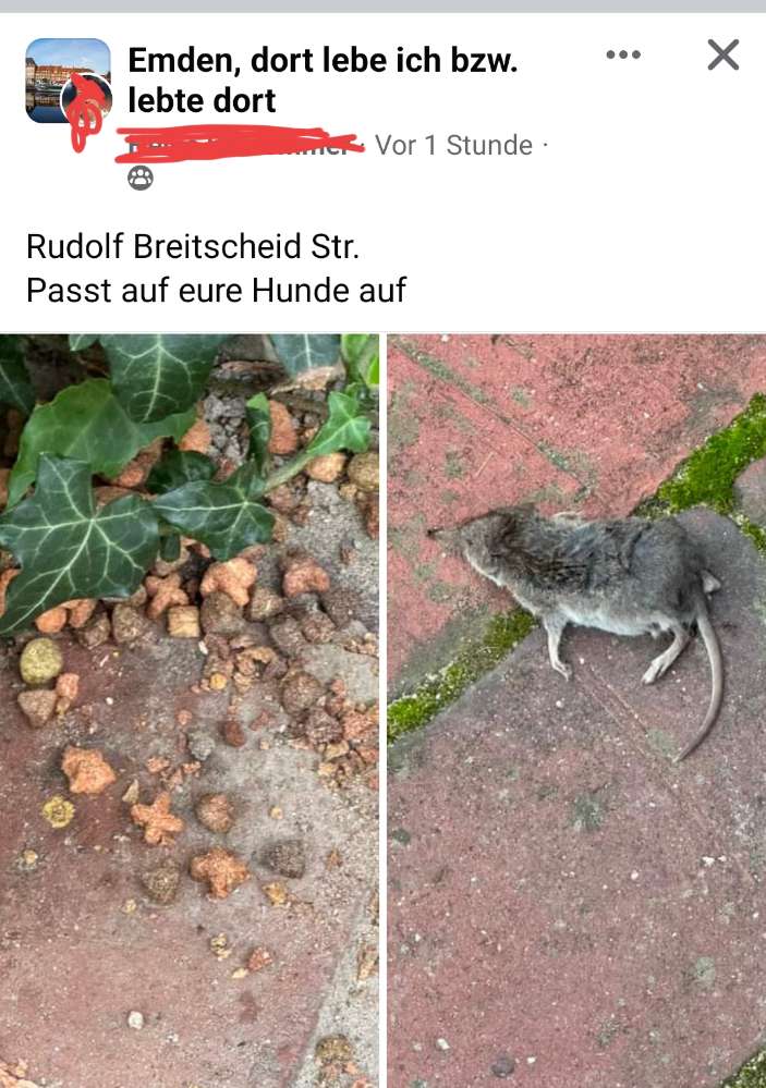 Giftköder-Giftköder-Profilbild