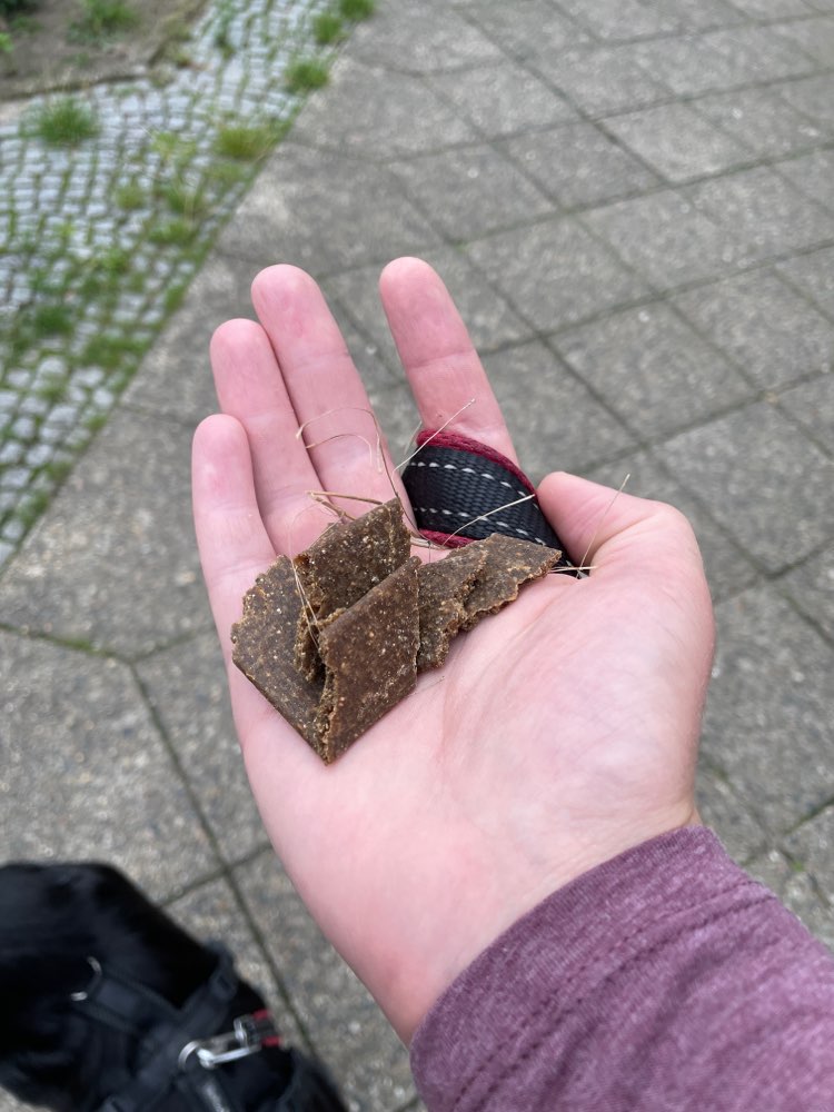 Giftköder-Frau verteilt Hundeleckerlis-Profilbild