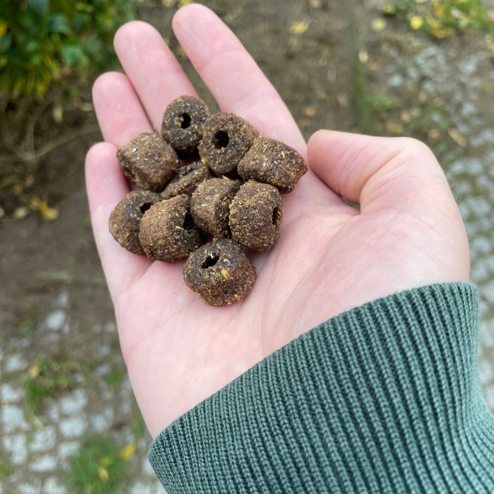 Giftköder-Leckerlies auf Gehweg verteilt-Profilbild