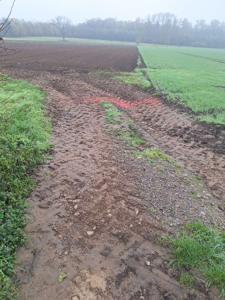 Giftköder-Schneckenkorn am Sölder Kirchweg-Profilbild