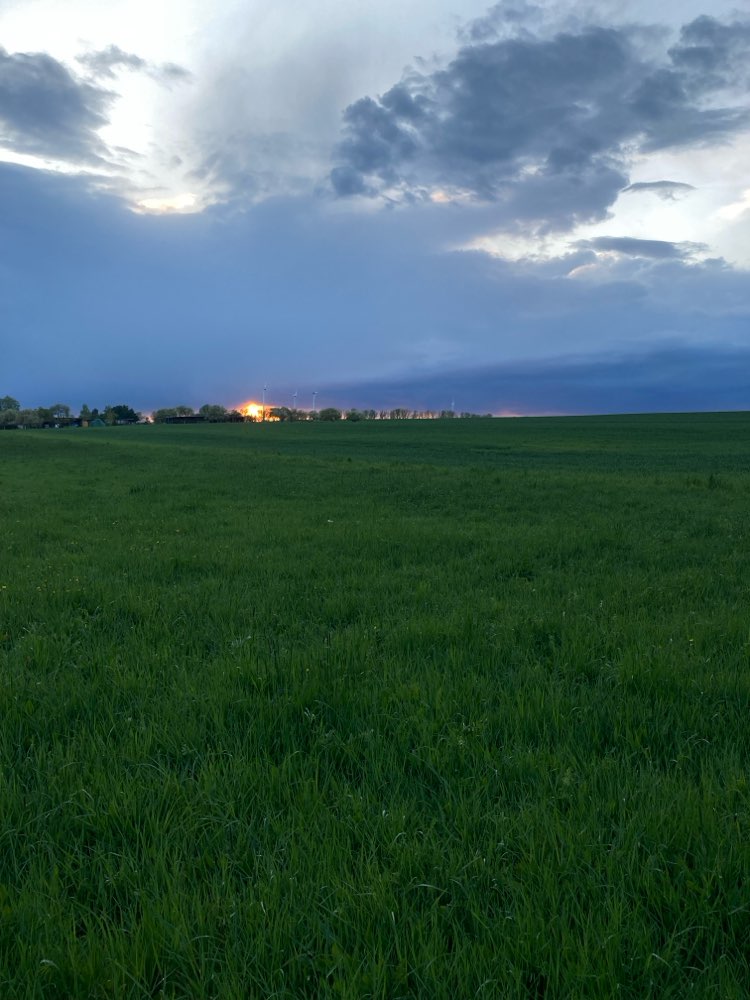 Hundetreffen-Welpen treffen:)-Profilbild