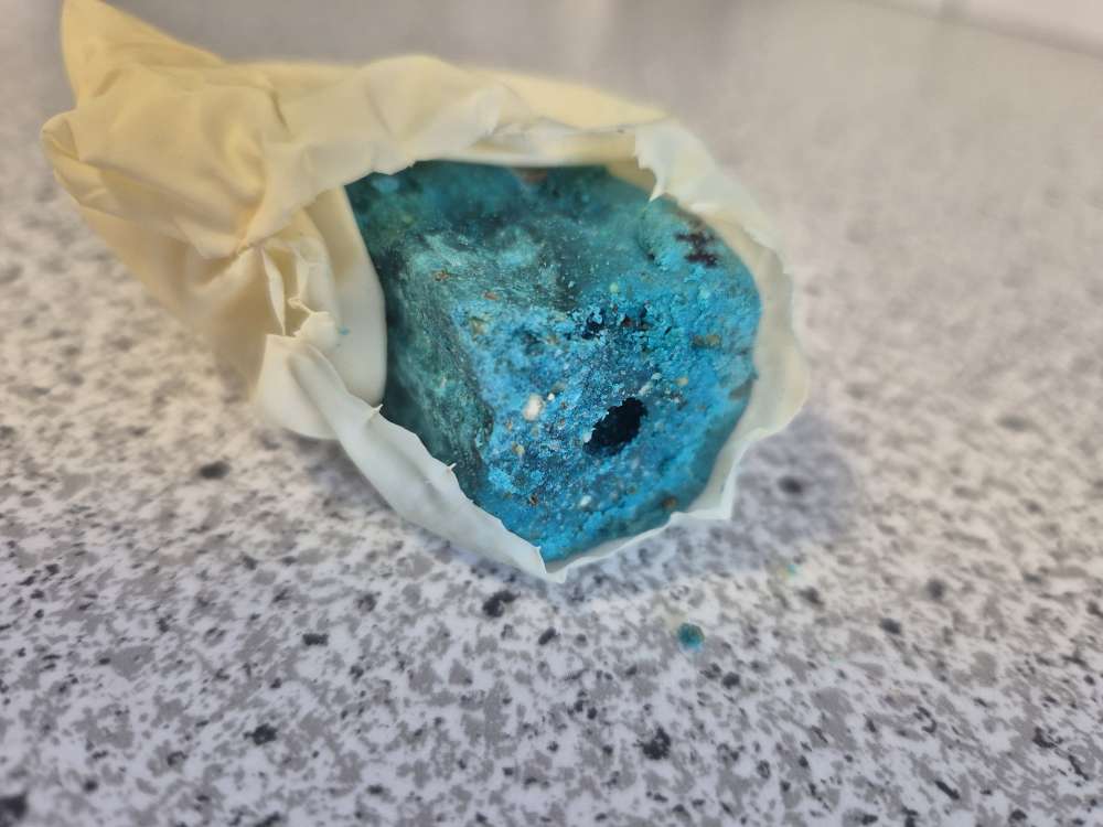 Giftköder-Blauer Köderblock-Profilbild