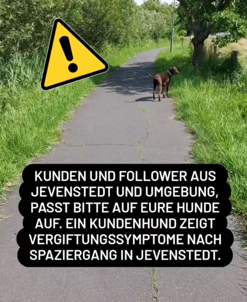 Giftköder-Giftköder-Profilbild