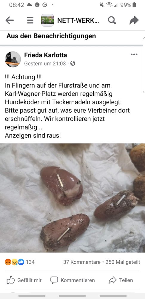 Giftköder-Fleischstücke mit Tackernsdeln gespickt-Profilbild