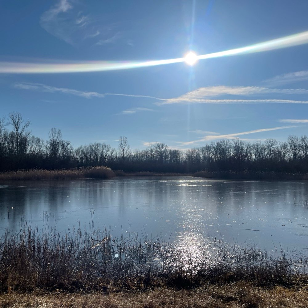 Hundetreffen-Gassi Treffs im Wald in Der Nähe von Großrudestedt-Profilbild