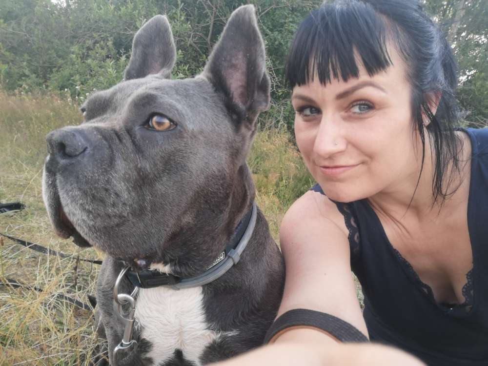 Hundetreffen-Bullytreffen-Profilbild