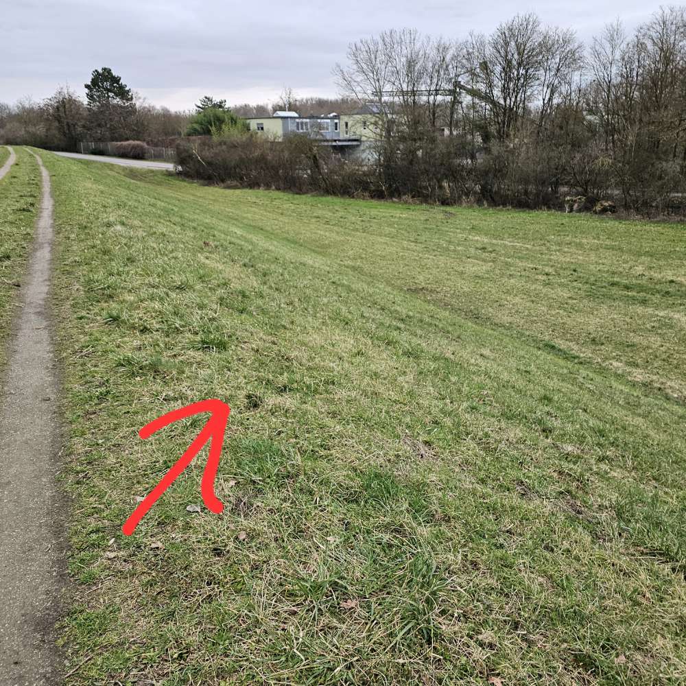 Giftköder-Vorsicht-Profilbild