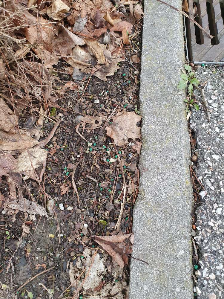 Giftköder-Ausgelegtes Gift (grün)-Profilbild