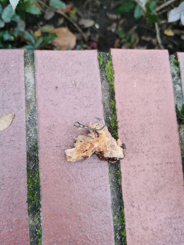 Giftköder-Angelhacken in Knochen-Profilbild