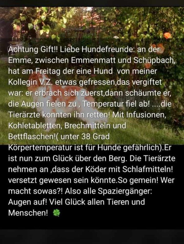 Giftköder-Giftköder Emmenmatt / Schüpbach-Profilbild