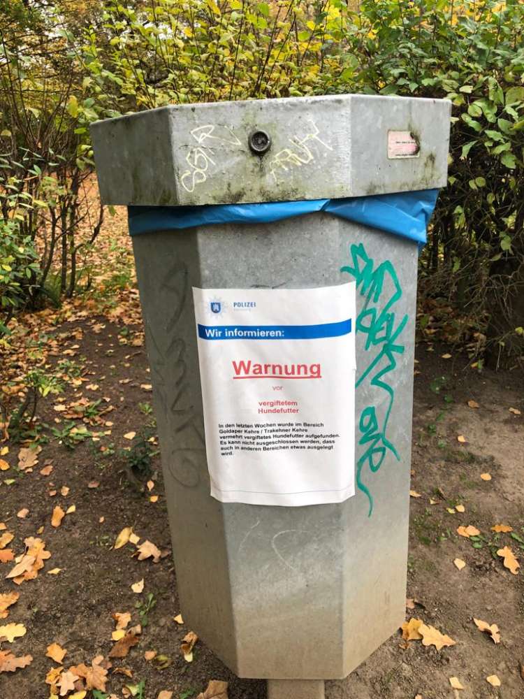 Giftköder-Giftköder-Profilbild