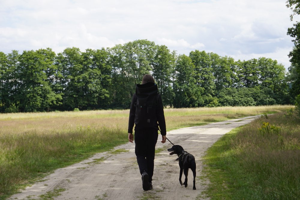 Hundetreffen-Social Walk in Potsdam Waldstadt/Kirchsteigfeld/Drewitz-Profilbild