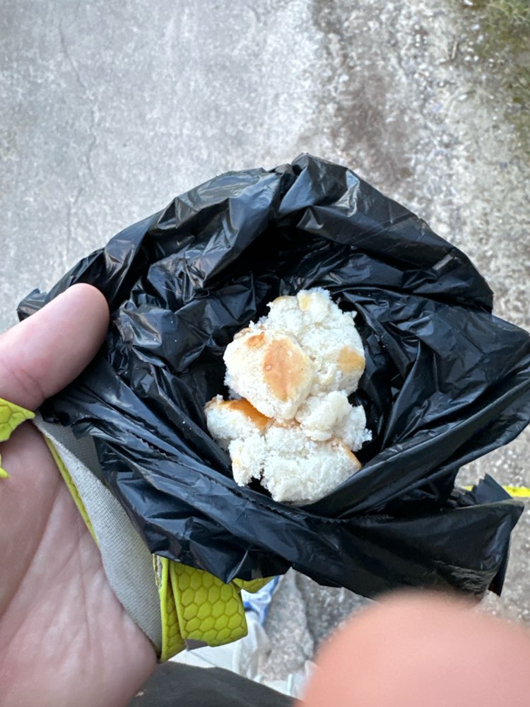 Giftköder-Vermutlicher Giftköder-Profilbild