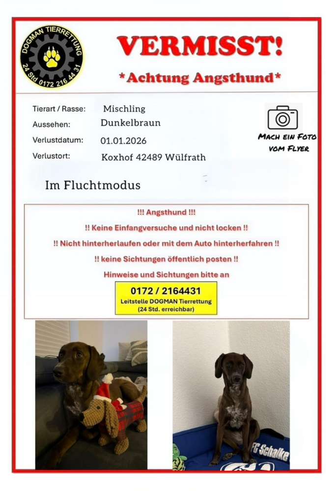 Suchmeldung-Nura-Profilbild
