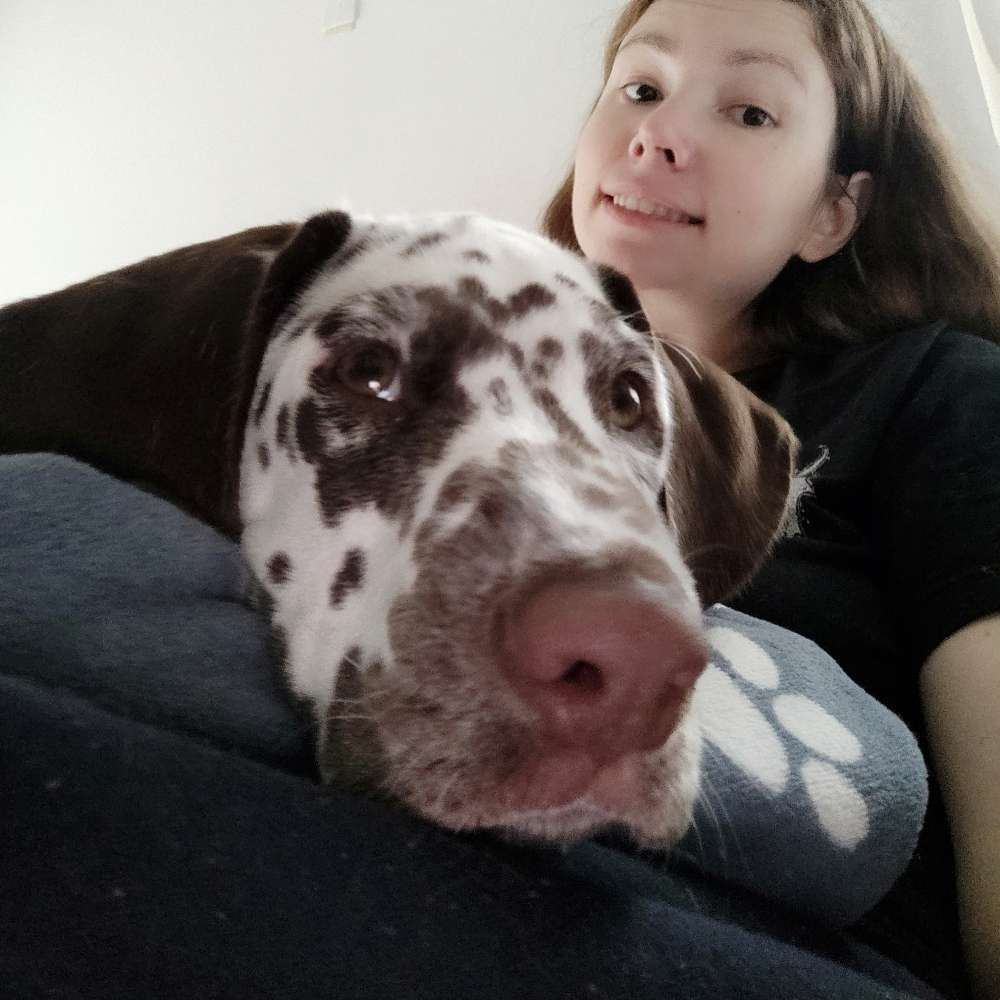 Hundetreffen-Dalmatiner-Welpe sucht Spielkameraden in Schwabing-Profilbild