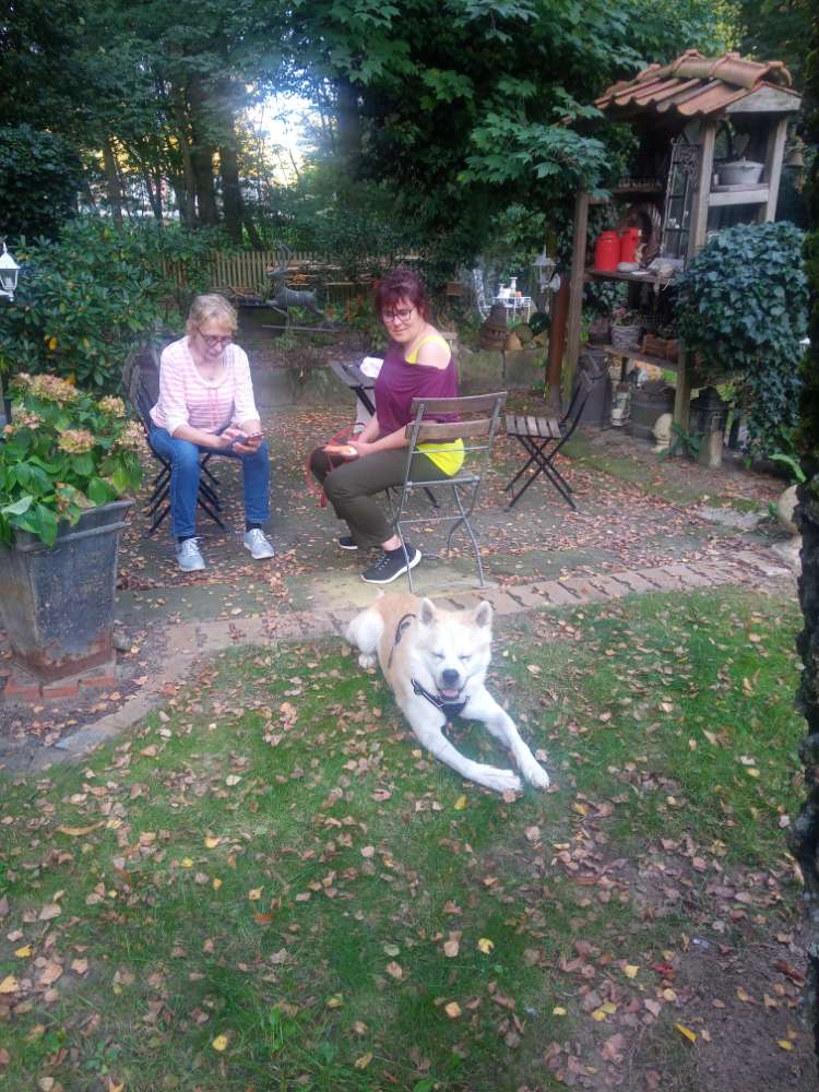 Hundetreffen-Hat jemand Lust im Raum Lauingen spazieren zu gehen. Ich möchte gerne versuchen unseren Hund zu sozi-Profilbild