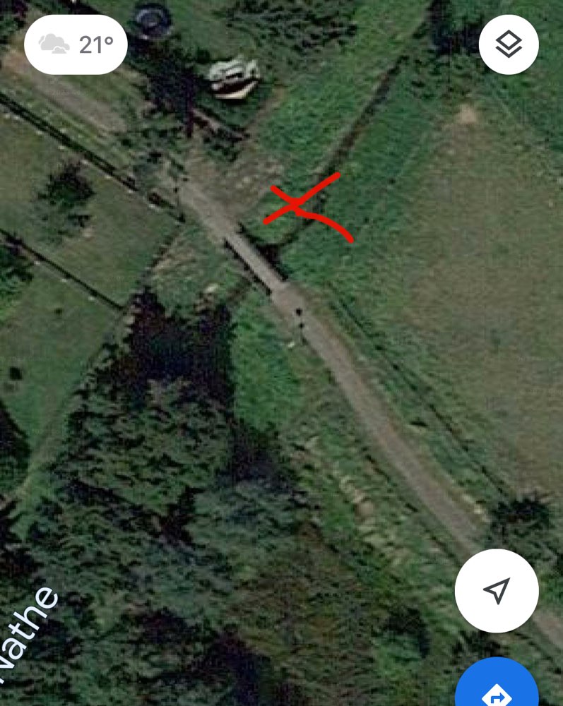 Giftköder-Toter Waschbär-Profilbild