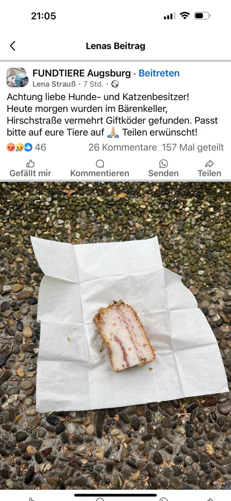 Giftköder-Giftköder-Profilbild