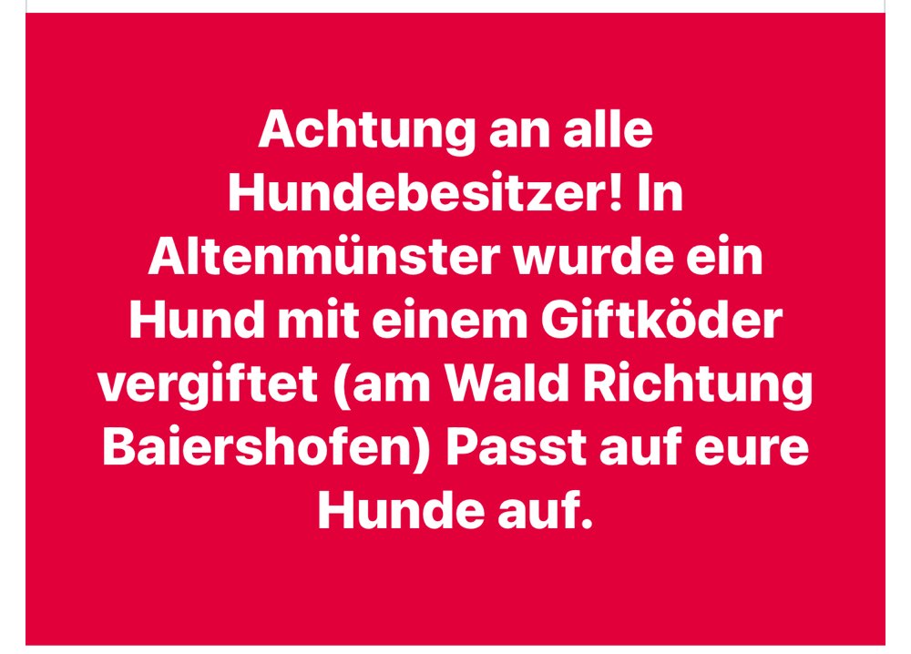 Giftköder-Hund vergiftet mit Giftköder-Profilbild