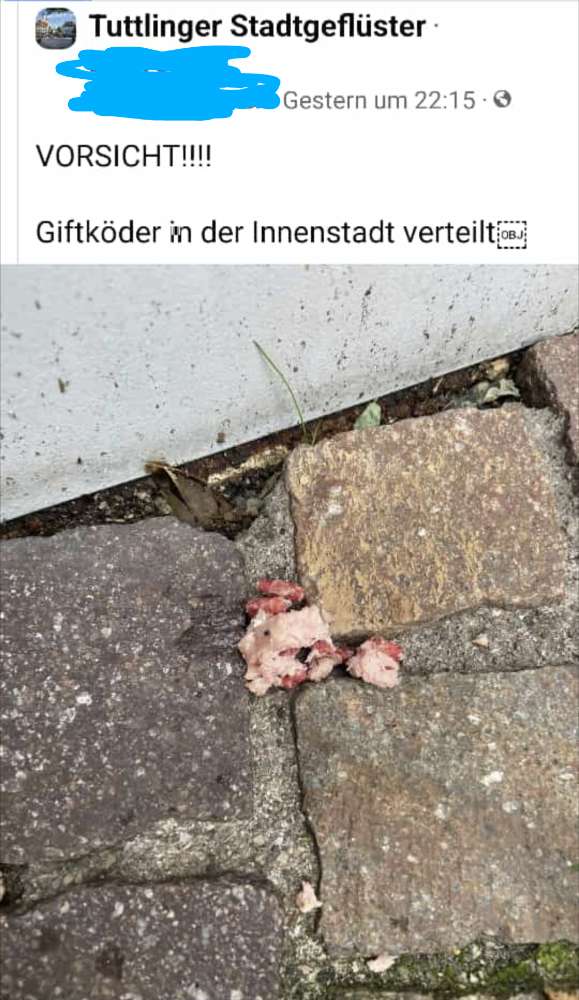 Giftköder-Giftköder-Profilbild