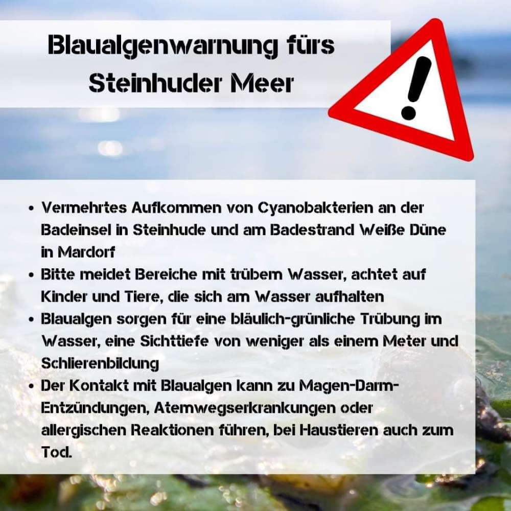 Giftköder-Blaualgenalarm für das Steinhuder Meer-Profilbild